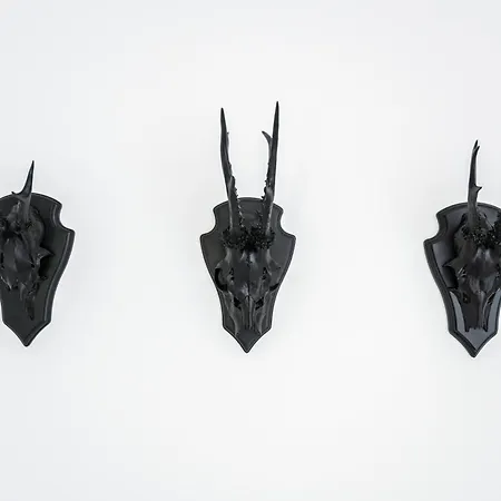 Fjordhaus Tatil Evi Edersee