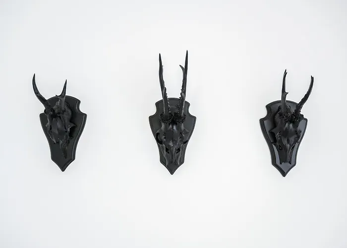 Fjordhaus Casa vacanze Edersee